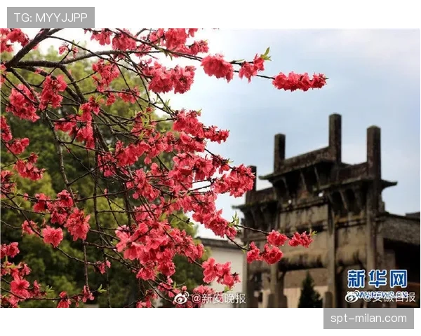 十里桃花林、黄山八面厅串联赛道,体育民间外交促进文旅融合 十里桃花林、黄山八面厅串联赛道,体育民间外交促进文旅融合